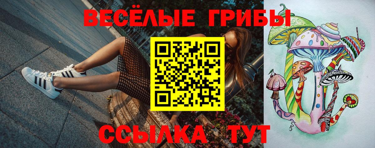 Псилоцибиновые грибы Magic Shrooms Междуреченск