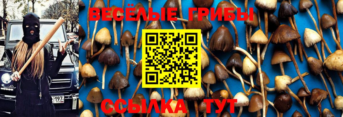Псилоцибиновые грибы Magic Shrooms  Псилоцибиновые грибы ЛСД  Вход с VPN  продажа наркотиков  Междуреченск 